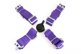 Pasy sportowe 4 punktowe 2