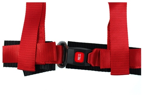 Pasy sportowe 4 punktowe 2" D1Spec red