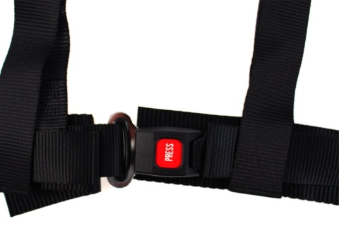 Pasy sportowe 4 punktowe 2" D1Spec black