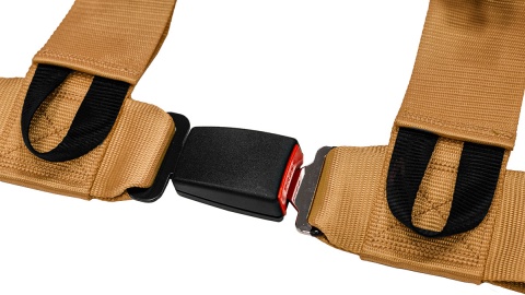 Pasy sportowe 4 punktowe 3" Slide V2 złote E4